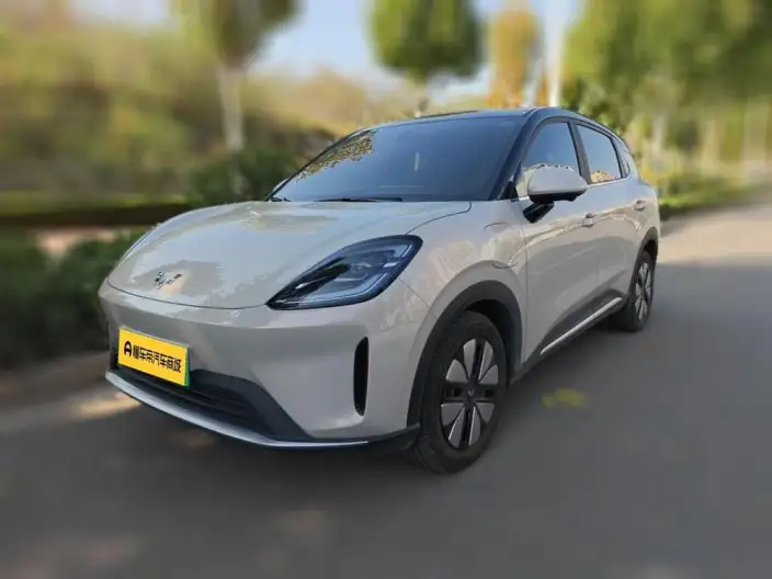 Wuling BingoS 2025 Model 325km Exclusive Model – фото 1