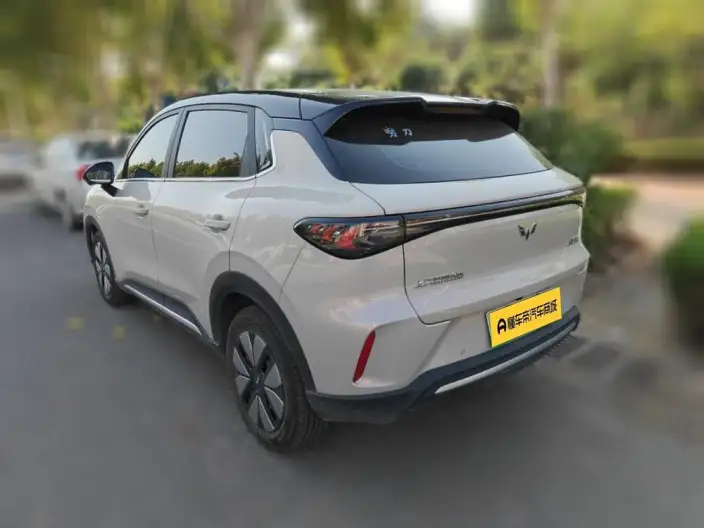 Wuling BingoS 2025 Model 325km Exclusive Model – фото 4