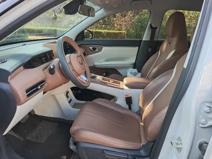 Wuling BingoS 2025 Model 325km Exclusive Model – фото 10