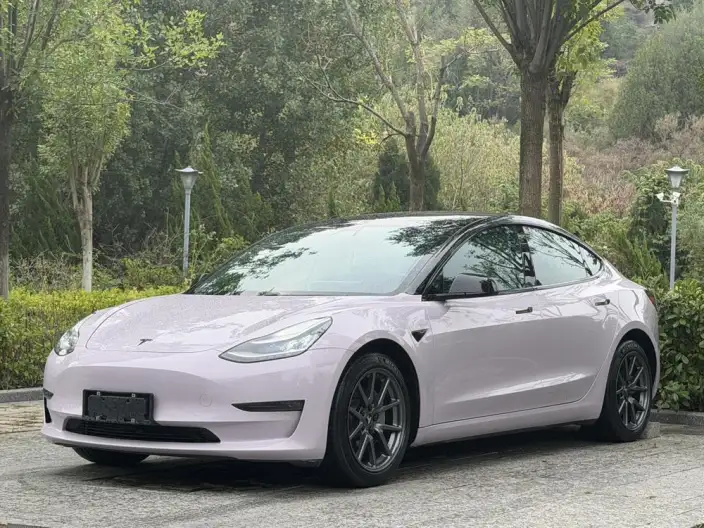 Model 3 2020 Model Facelift Long Battery Life Pro Rear-wheel drive version – фото 1
