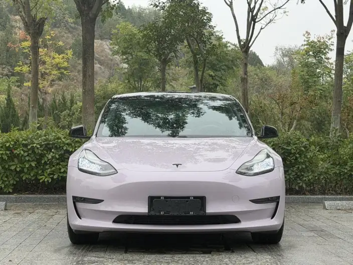 Model 3 2020 Model Facelift Long Battery Life Pro Rear-wheel drive version – фото 2