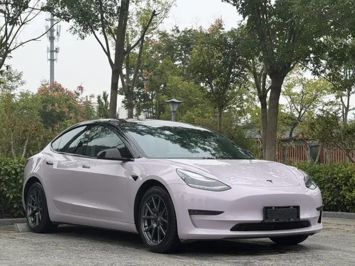 Model 3 2020 Model Facelift Long Battery Life Pro Rear-wheel drive version – фото 3