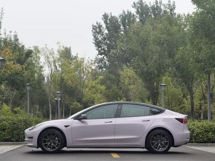 Model 3 2020 Model Facelift Long Battery Life Pro Rear-wheel drive version – фото 4