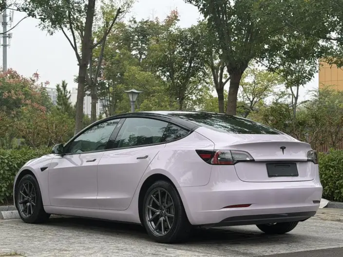 Model 3 2020 Model Facelift Long Battery Life Pro Rear-wheel drive version – фото 5