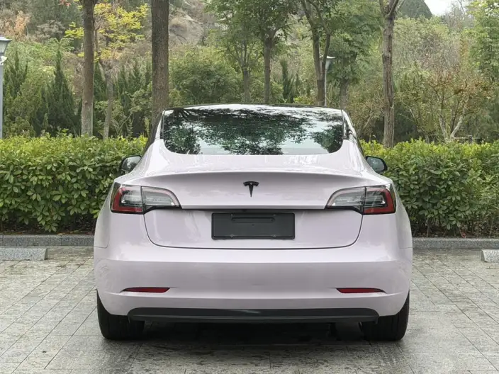 Model 3 2020 Model Facelift Long Battery Life Pro Rear-wheel drive version – фото 6