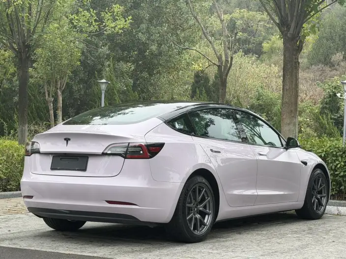 Model 3 2020 Model Facelift Long Battery Life Pro Rear-wheel drive version – фото 7