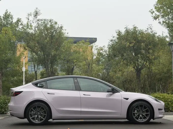 Model 3 2020 Model Facelift Long Battery Life Pro Rear-wheel drive version – фото 8
