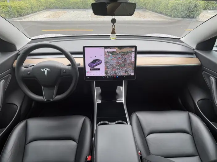 Model 3 2020 Model Facelift Long Battery Life Pro Rear-wheel drive version – фото 10