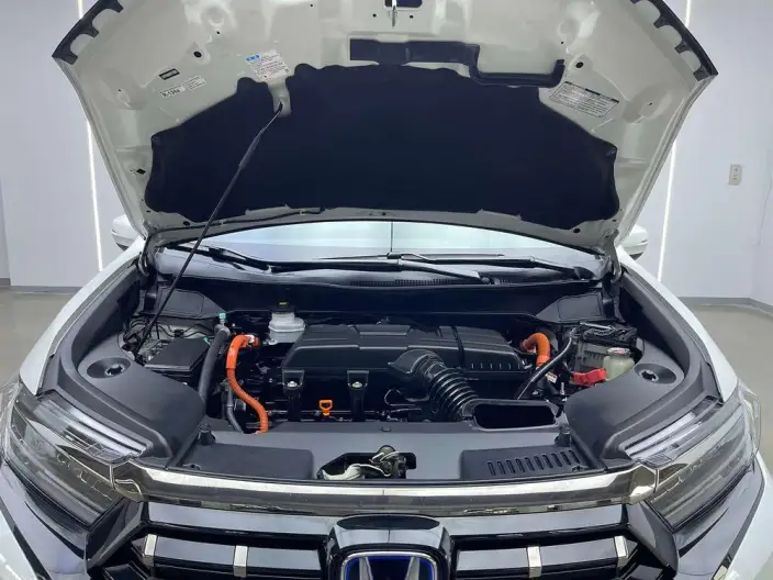 Honda Elysion 2022 Model 2.0L Hybrid Deluxe Edition – фото 8