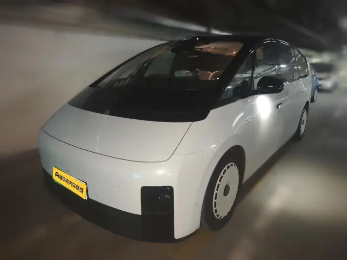 Li Auto MEGA 2025 Model Home Family Special Edition – фото 1