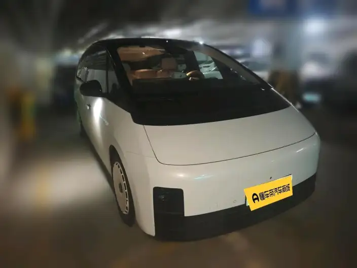 Li Auto MEGA 2025 Model Home Family Special Edition – фото 3