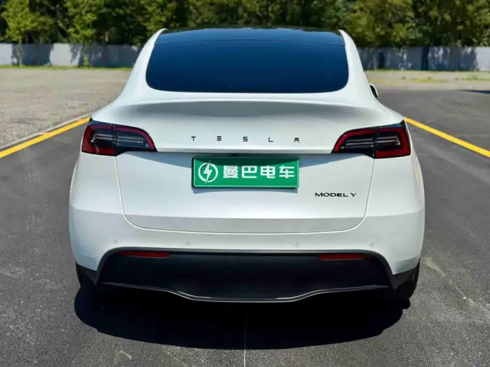 Model Y 2023 Model Long Battery Life Pro All-wheel drive version – фото 6