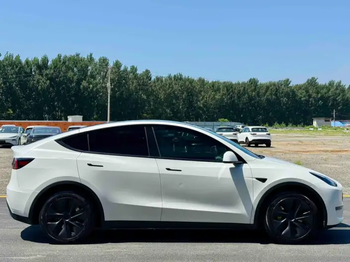 Model Y 2023 Model Long Battery Life Pro All-wheel drive version – фото 8