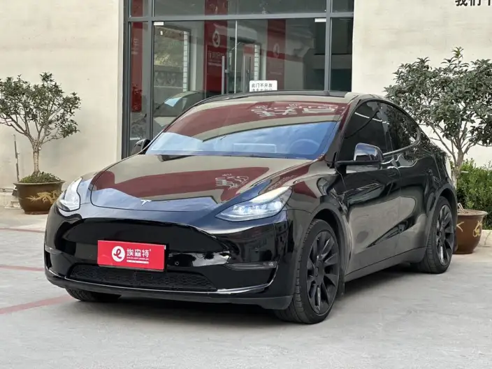 Model Y 2021 Model Standard Battery Life Rear-wheel drive version – фото 1