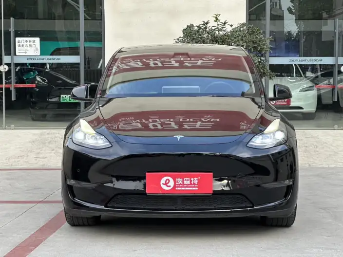 Model Y 2021 Model Standard Battery Life Rear-wheel drive version – фото 2