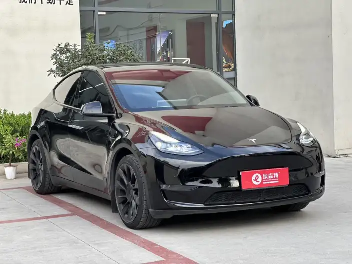 Model Y 2021 Model Standard Battery Life Rear-wheel drive version – фото 3