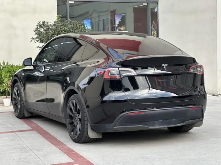 Model Y 2021 Model Standard Battery Life Rear-wheel drive version – фото 4