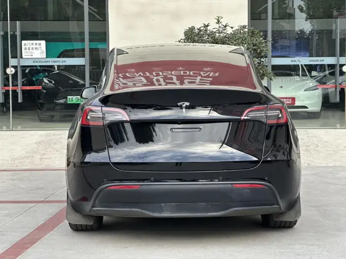 Model Y 2021 Model Standard Battery Life Rear-wheel drive version – фото 5