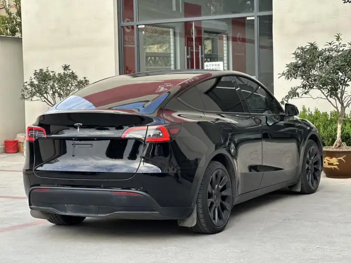 Model Y 2021 Model Standard Battery Life Rear-wheel drive version – фото 6