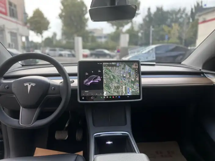 Model Y 2021 Model Standard Battery Life Rear-wheel drive version – фото 8