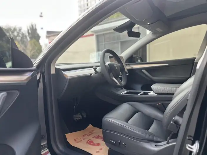 Model Y 2021 Model Standard Battery Life Rear-wheel drive version – фото 9