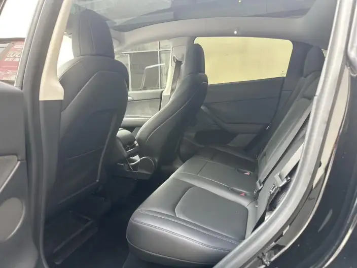 Model Y 2021 Model Standard Battery Life Rear-wheel drive version – фото 10