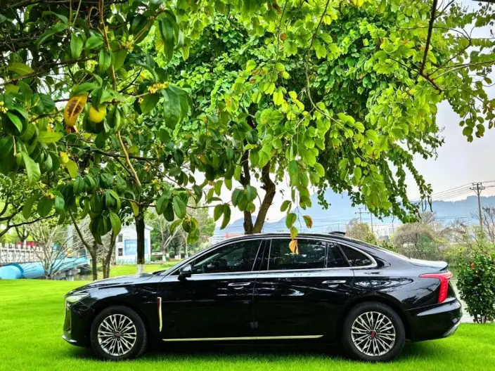 Hongqi H5 2023 Model 2.0T Automatic Flag Enjoy Edition – фото 3