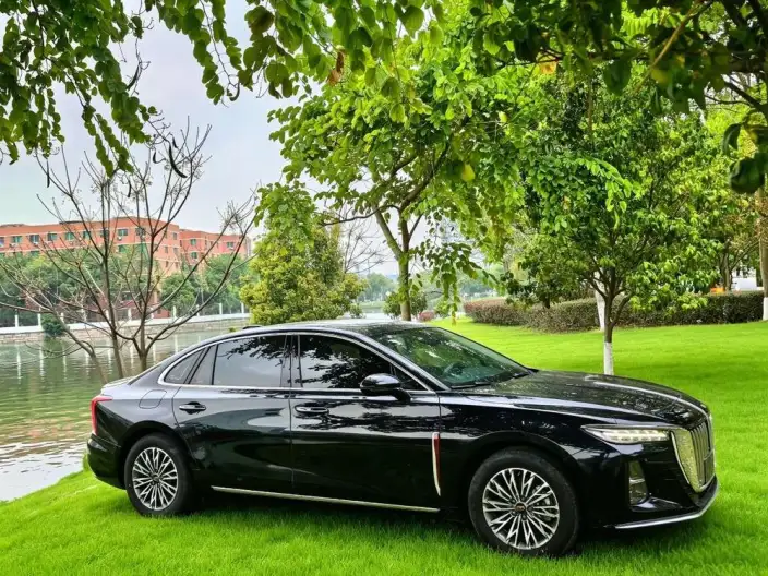Hongqi H5 2023 Model 2.0T Automatic Flag Enjoy Edition – фото 7