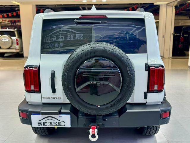 Tank 300 2023 Off-road 2.0T Conqueror – фото 8