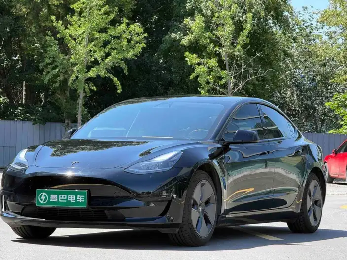 Model 3 2021 Model Standard Battery Life Rear Drive L Class Edition – фото 1
