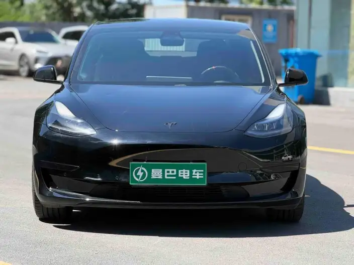 Model 3 2021 Model Standard Battery Life Rear Drive L Class Edition – фото 2