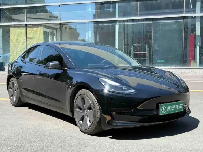 Model 3 2021 Model Standard Battery Life Rear Drive L Class Edition – фото 3