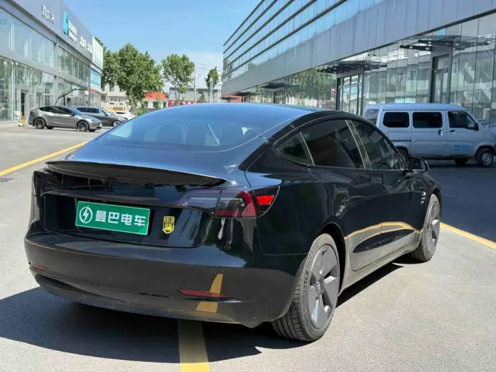 Model 3 2021 Model Standard Battery Life Rear Drive L Class Edition – фото 7