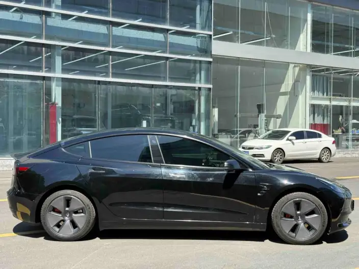Model 3 2021 Model Standard Battery Life Rear Drive L Class Edition – фото 8