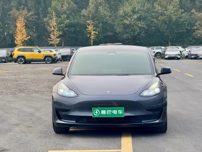 Model 3 2022 Model Rear-wheel drive version – фото 2