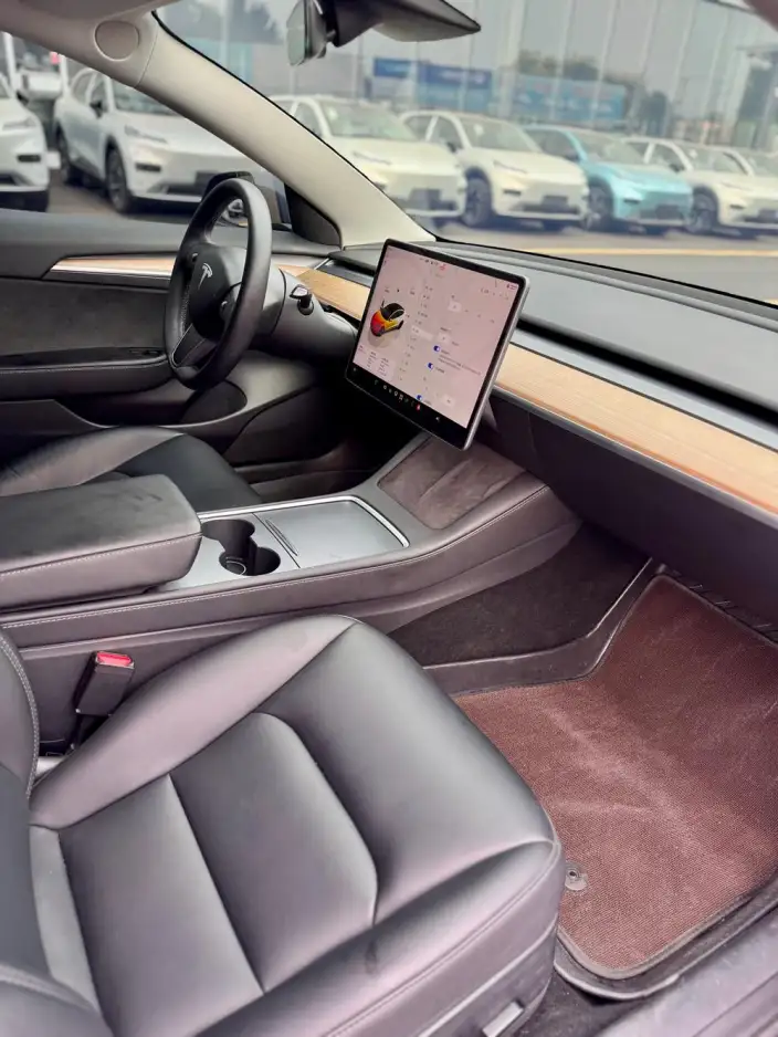 Model 3 2022 Model Rear-wheel drive version – фото 9
