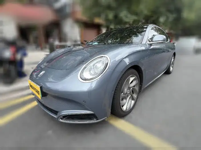 ORA Grand Cat 2022 Model 555km Premium Edition – фото 1