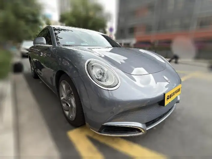 ORA Grand Cat 2022 Model 555km Premium Edition – фото 3