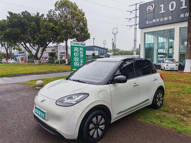 Wuling Bingo 2023 203km Light Enjoyment