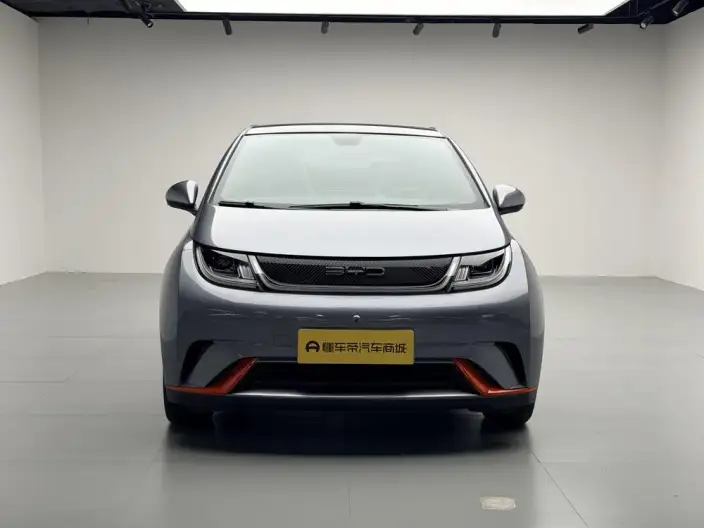 BYD Dolphin 2021 Model Fashion Edition – фото 2