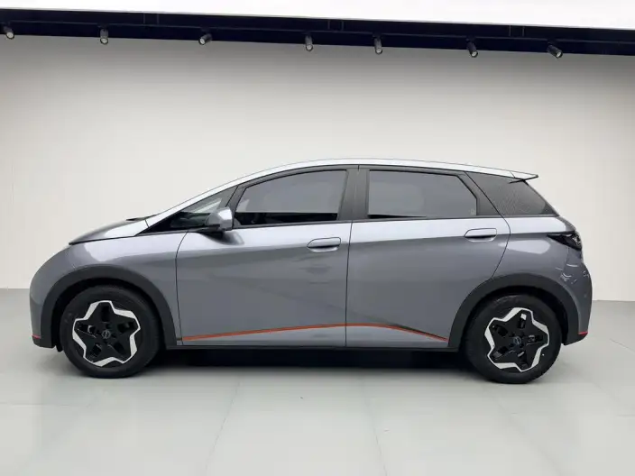 BYD Dolphin 2021 Model Fashion Edition – фото 4