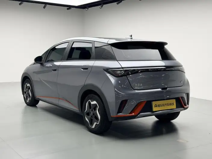 BYD Dolphin 2021 Model Fashion Edition – фото 5