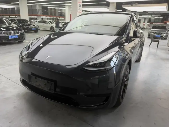 Model Y 2024 Model Rear-wheel drive version – фото 1