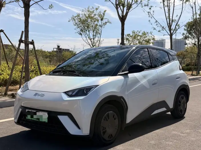 BYD Seagull 2024 Model Honor Edition 305KM Vitality Edition – фото 1