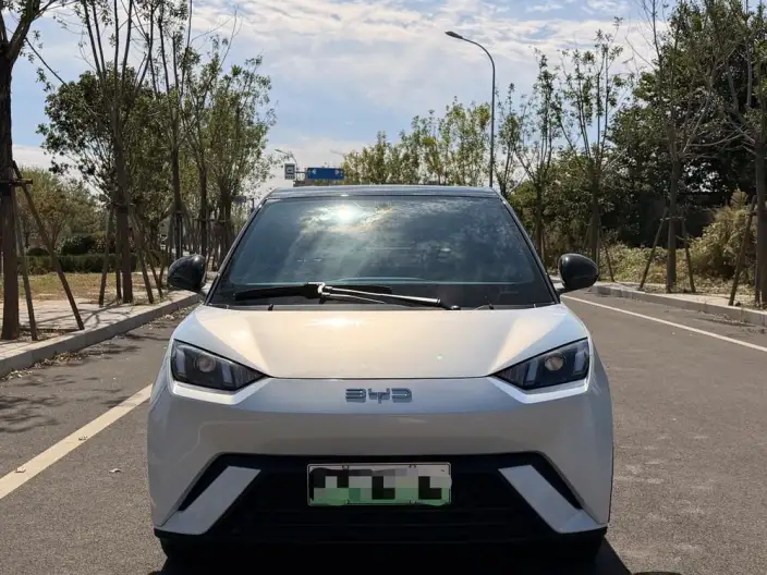 BYD Seagull 2024 Model Honor Edition 305KM Vitality Edition – фото 2