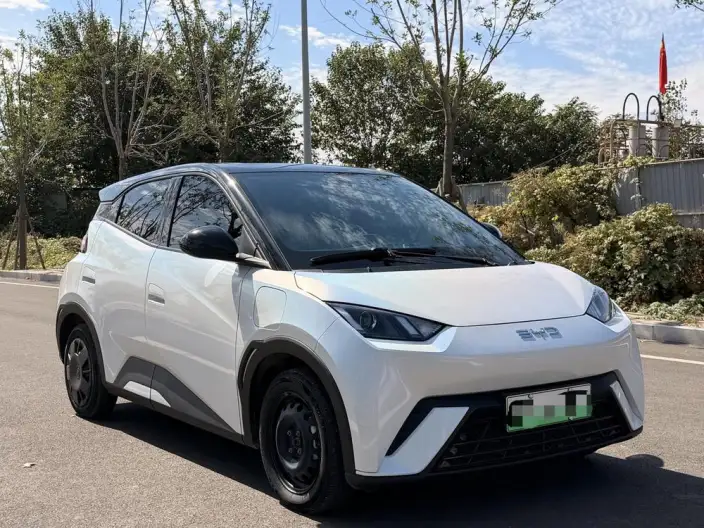 BYD Seagull 2024 Model Honor Edition 305KM Vitality Edition – фото 3