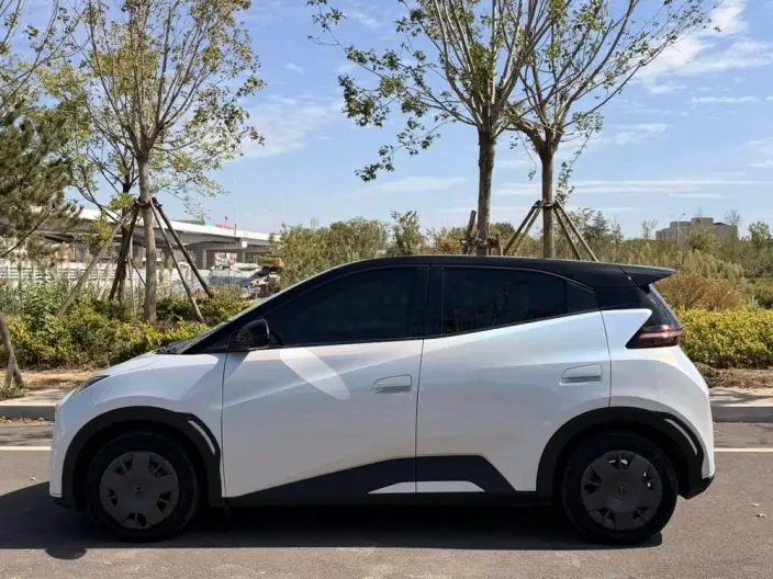 BYD Seagull 2024 Model Honor Edition 305KM Vitality Edition – фото 4