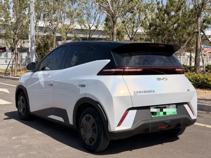 BYD Seagull 2024 Model Honor Edition 305KM Vitality Edition – фото 5