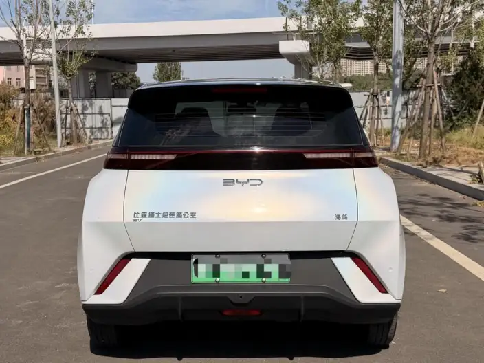 BYD Seagull 2024 Model Honor Edition 305KM Vitality Edition – фото 6
