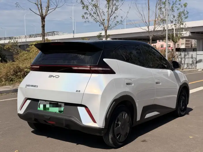 BYD Seagull 2024 Model Honor Edition 305KM Vitality Edition – фото 7